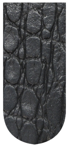 Sciamato Schwarz (35)