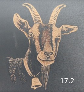 Strahlengeisskopf (17.2)