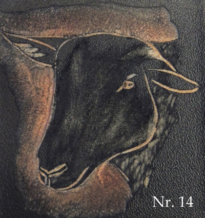 Schwarzbraunes Bergschaf SBS (14)