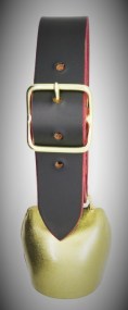 Glocke_Appenzell_4c98aeef53059.jpg
