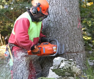 Forstartikel 🇨🇭