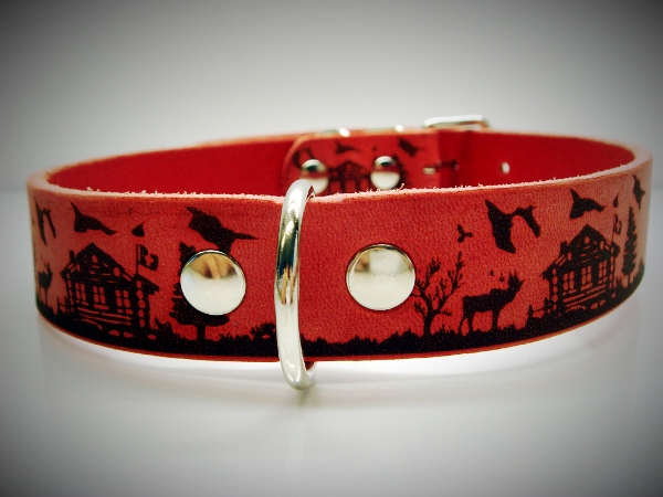 Halsband_Alpaufz_53bea4b2b76d2.jpg