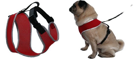 Brustgeschirr mit Reflektierband (30622P, 30622)