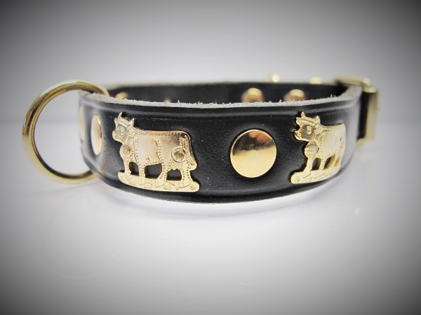 Halsband_Appenze_53bf802da15ae.jpg