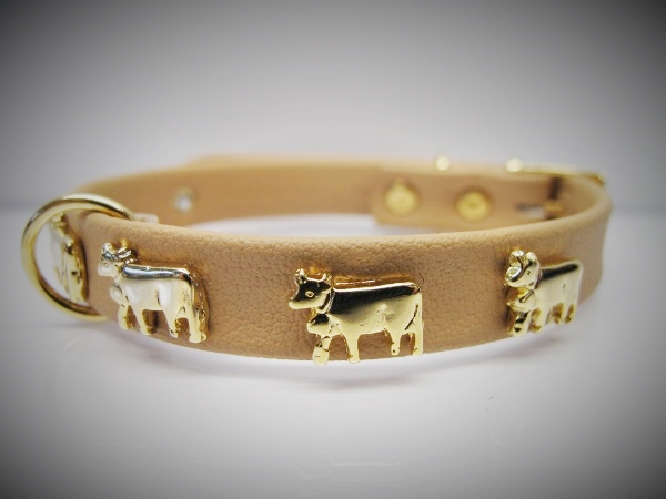 Halsband_Appenze_53bf8100e4c95.jpg