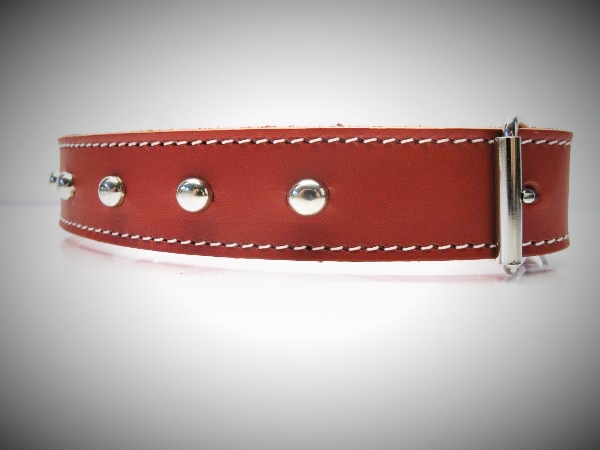 Halsband_Boxer_53bea699642f1.jpg