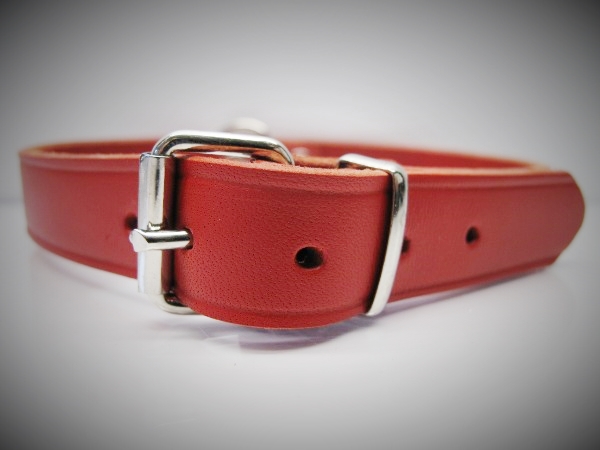 Halsband_Einfach_53bea857c15c7.jpg