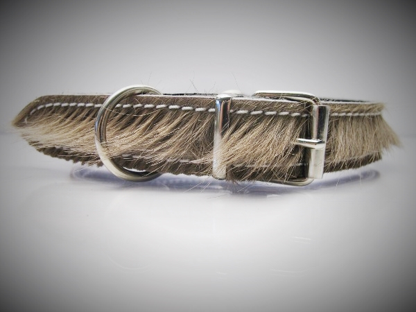 Halsband_Strubel_53bea3f6a9e0e.jpg