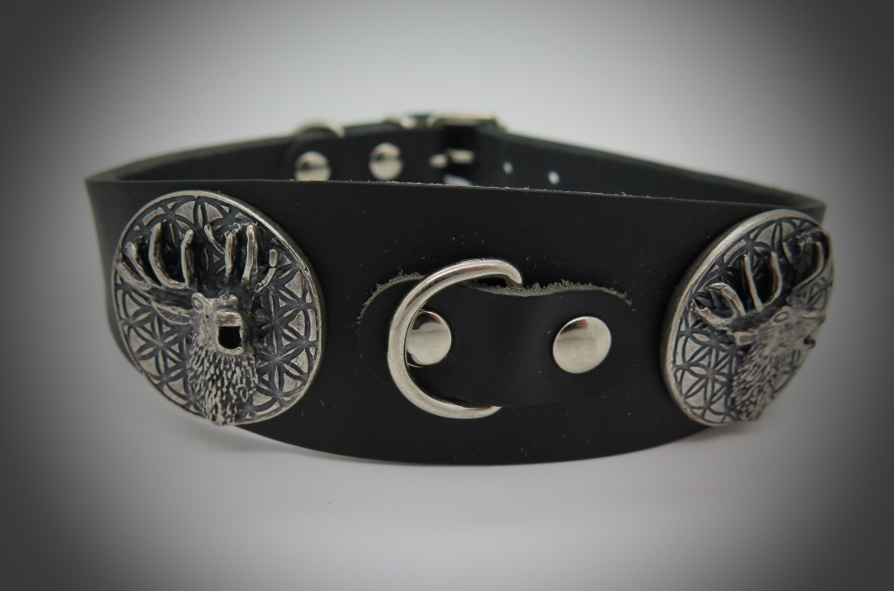 Halsband_Punk_53bea60e715ba.jpg