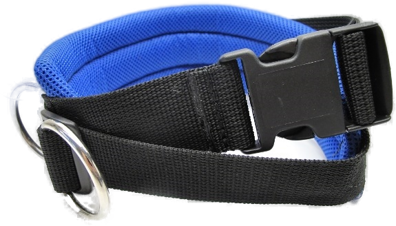 Jogginggurt mit elastischer Rundleine (23225)