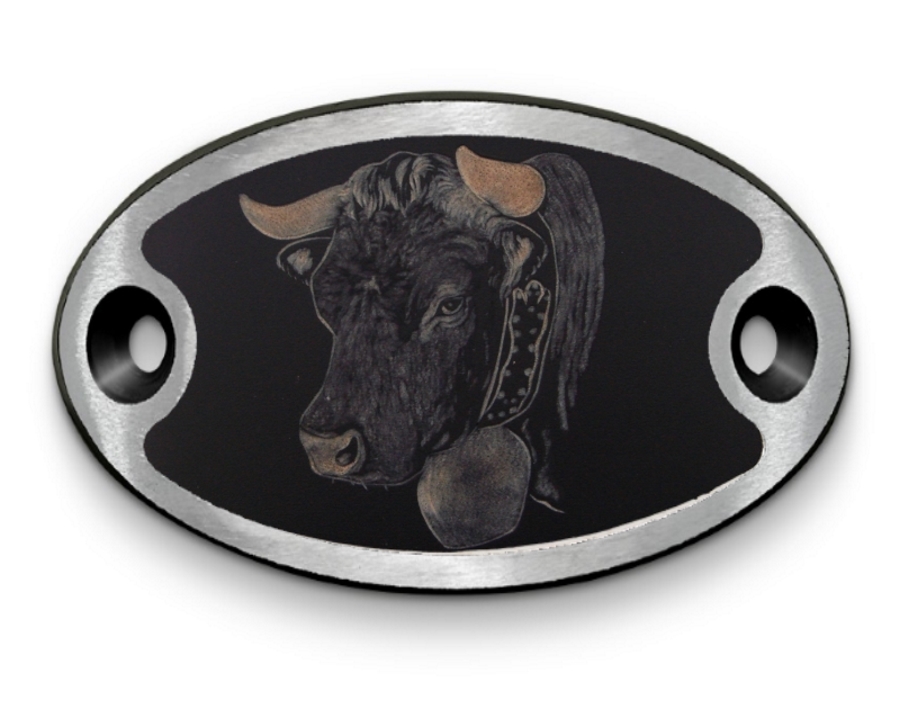 Schnalle Katy Eringerkopf (10900-40.81M.89)