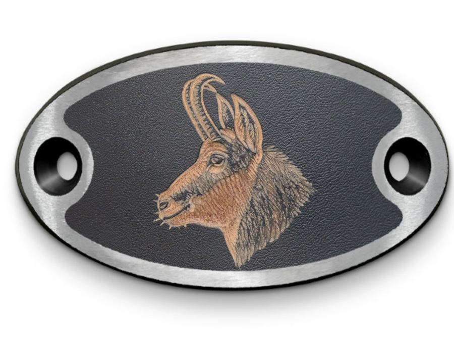 Schnalle Katy Gemskopf (10900-40.81M.46)