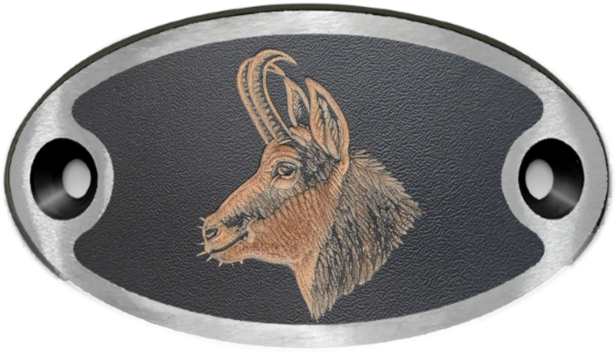 Schnalle Katy Gemskopf (10900-40.81M.46)