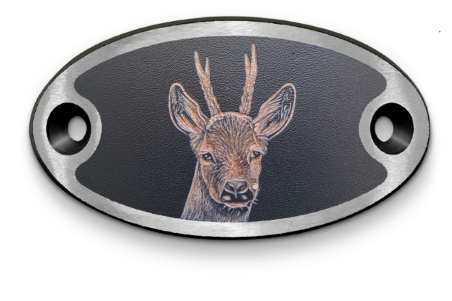 Schnalle Katy Rehbock (10900-40.81M.47)