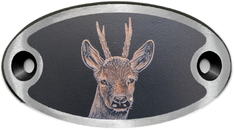 Schnalle Katy Rehbock (10900-40.81M.47)