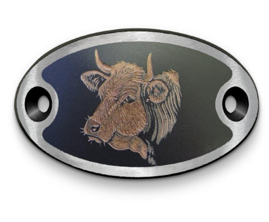 Schnalle Katy Simmentalerkopf (10900-40.81M.2)