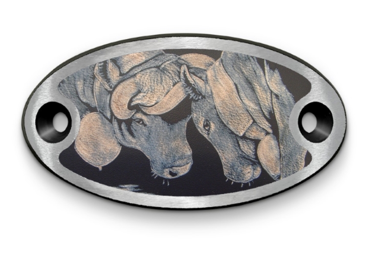 Schnalle Katy Stecher (10900-40.81M.41)