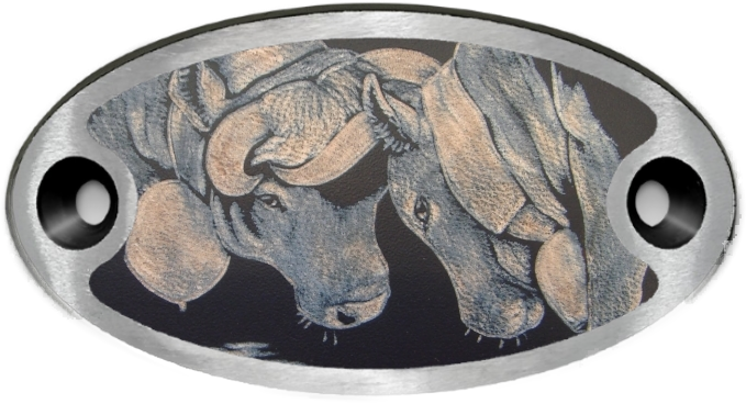 Schnalle Katy Stecher (10900-40.81M.41)