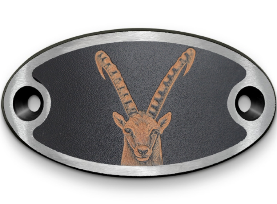 Schnalle Katy Steinbockkopf (10900-40.81M.48)