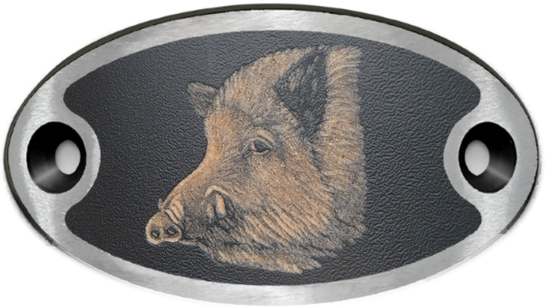 Schnalle Katy Wildschweinkopf (10900-40.81M.49)