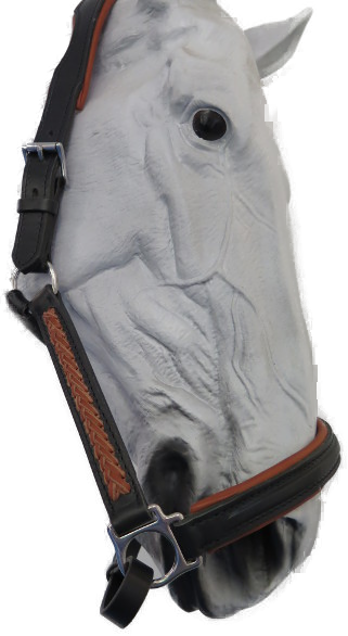 Stallhalfter Schwarz (14730.140)