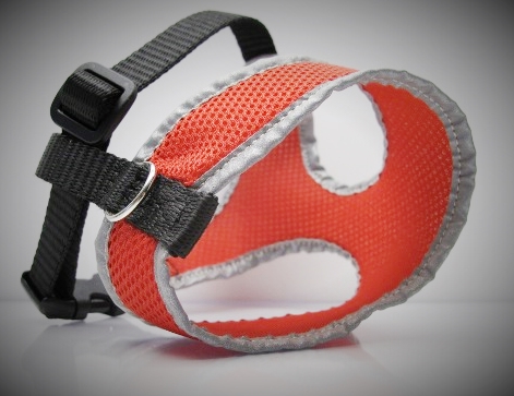 Brustgeschirr mit Reflektierband