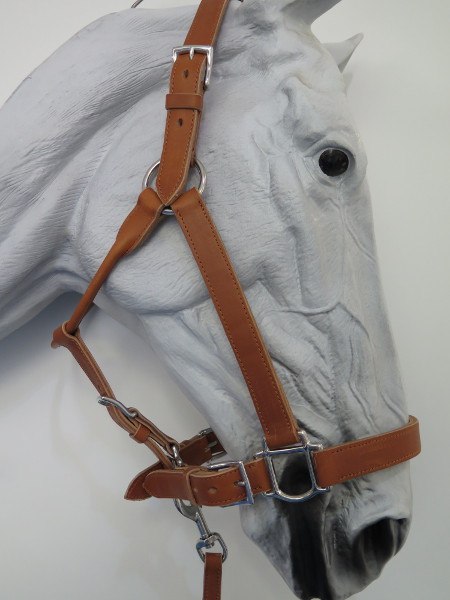 Halfter Western Natur-Abgetönt