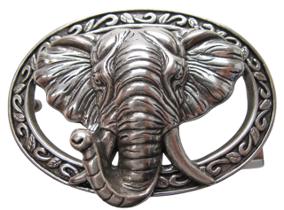 Schnalle Fashion   40mm (10900-40.102)