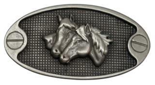 Schnalle Eidgenoss AS (10900-40.124.EDG)