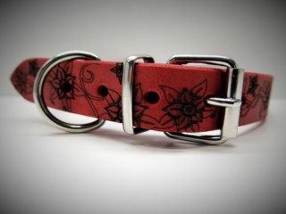 Halsband_Alpaufz_53bea4b2b76d2.jpg