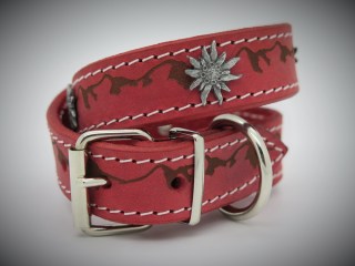 Halsband_Alpaufz_53bea4b2b76d2.jpg