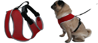 Brustgeschirr mit Reflektierband  (30622P, 30622)
