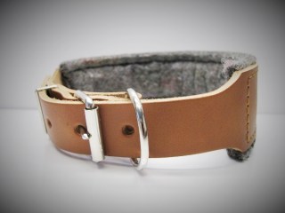 Dressurhalsband__53bf82beea195.jpg