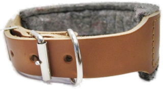 Dressurhalsband mit Filz  (16210)