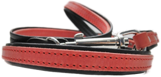 Dressurleine mit Futter 18mmx160cm (21805)