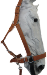 Halfter Western Natur-Abgetönt (14750.143)