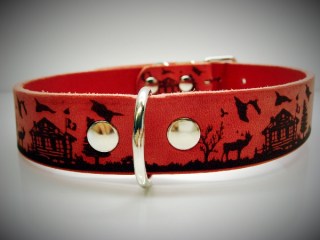 Halsband Alps (13045)