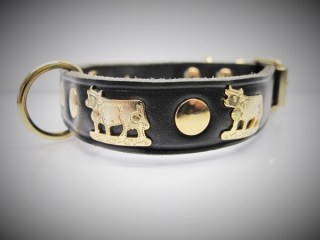Halsband_Appenze_53bf802da15ae.jpg