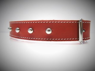 Halsband_Boxer_53bea699642f1.jpg