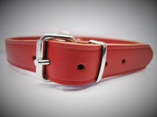 Halsband_Einfach_53bea857c15c7.jpg