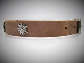Halsband_Harder_53be9e94b8f66.jpg