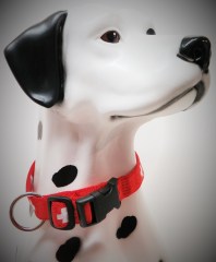 Halsband Soft-Swiss Doc 20mm (23315)