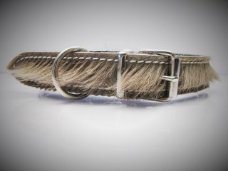 Halsband_Strubel_53bea3f6a9e0e.jpg