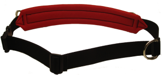 Jogginggurt__53bf9653645be.jpg