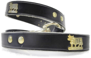 Kurzleine Appenzell B 23mmx110cm (21290)