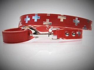 Kurzleine_Swiss_53be9e3120d5f.jpg