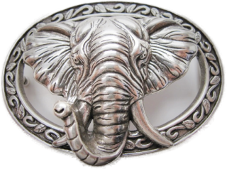 Schnalle Fashion   40mm (10900-40.102)