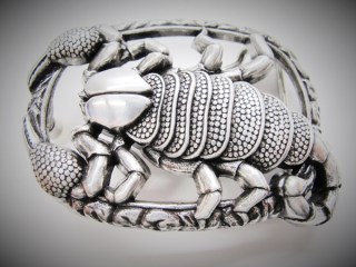 Schnalle Fashion   40mm (10900-40.114)