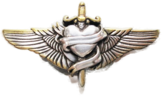 Schnalle Fashion   40mm (10900-40.18)