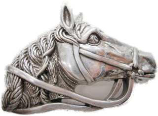 Schnalle Fashion   40mm (10900-40.96)